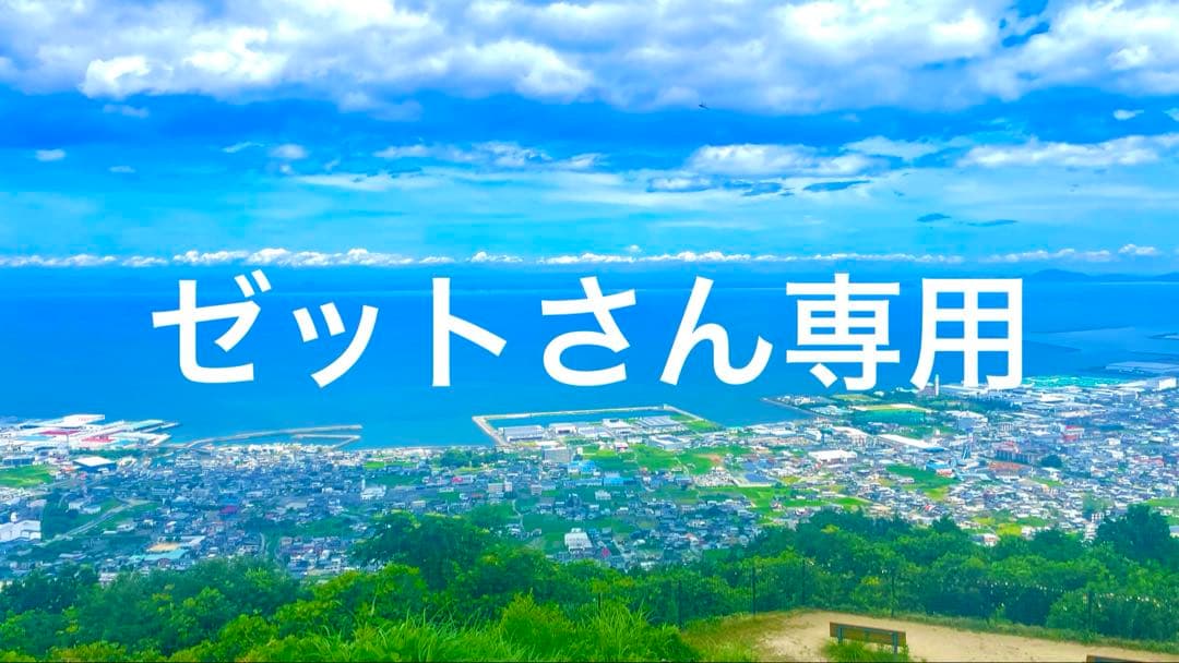 ゼットさん専用