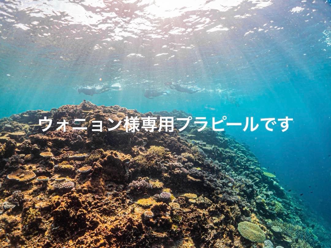 ウォニョンプラピール10setです