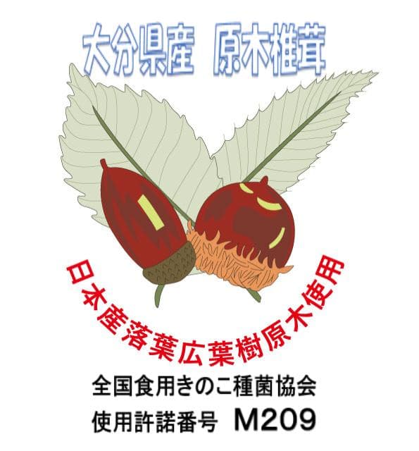 AKOさまご予約専用 大分県名産 生どんこ椎茸「秋子」ダブル
