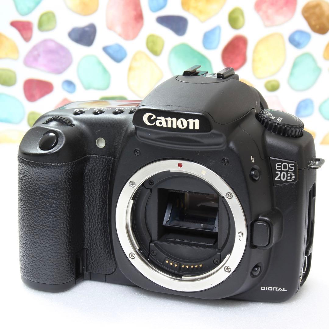 ♥◇Canon EOS 20D ◇おすすめ入門機♪ ◇カメラ選びに迷ったらこれ♪