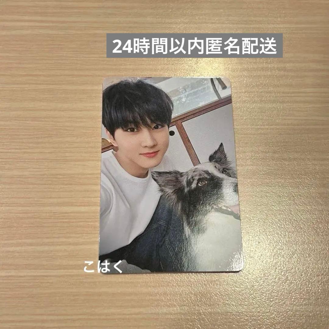 ENHYPEN ジョンウォン　アンケートトレカ