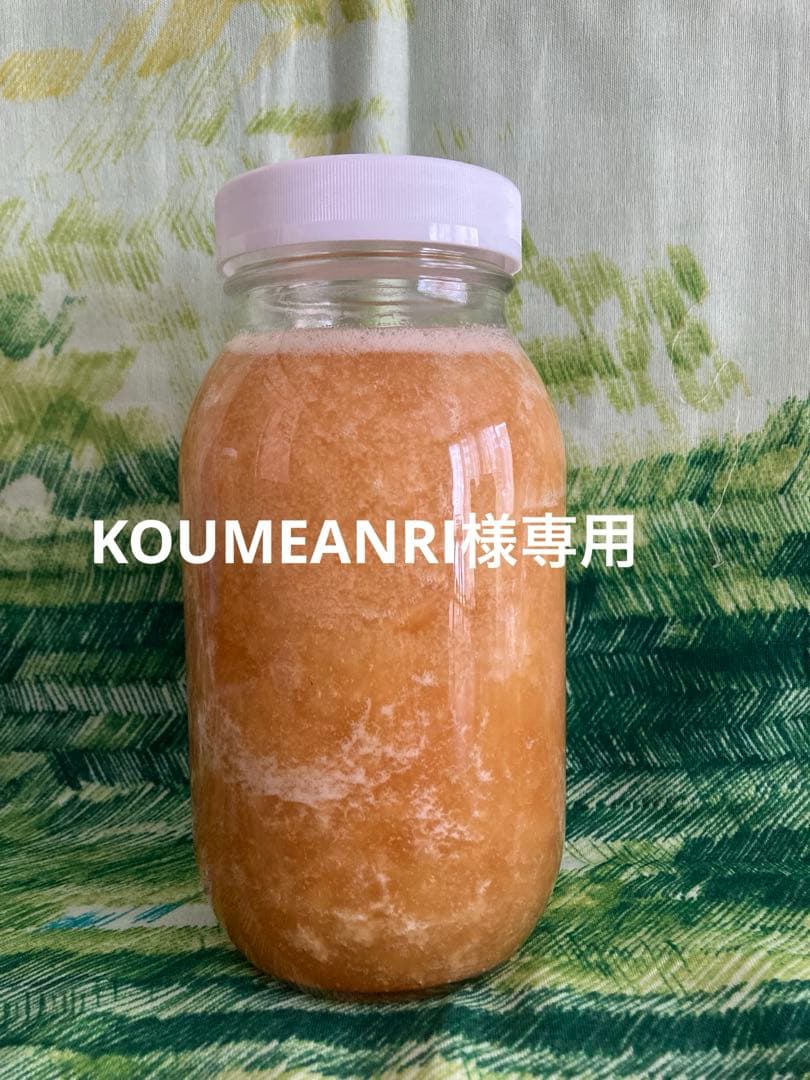 KOUMEANRIさま専用　ニホンミツバチ生ハチミツ　1120g