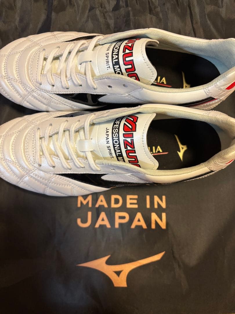 A*a様 モレリア 2 JAPAN(ショートタン＆クロスステッチ) 24cm