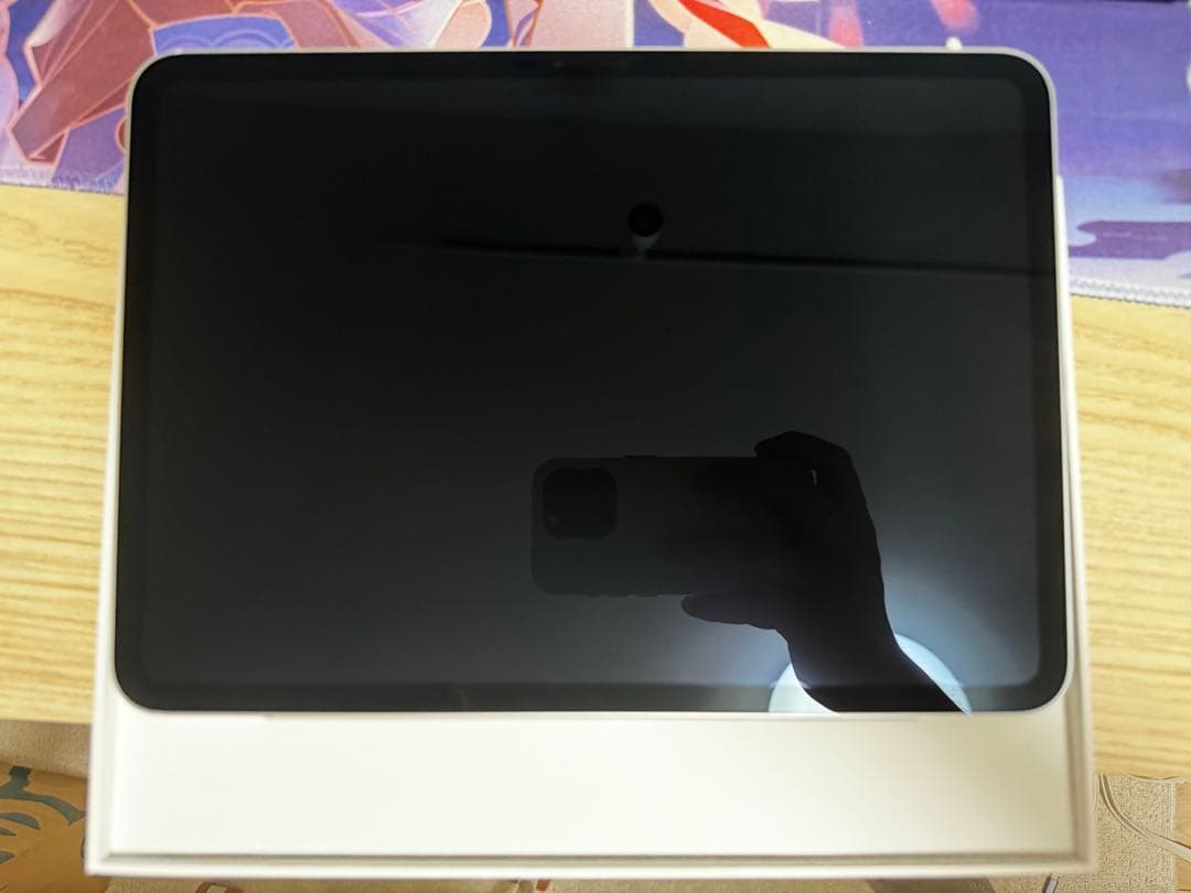 11インチ iPad Pro M4 Wi-Fi 256GB シルバー