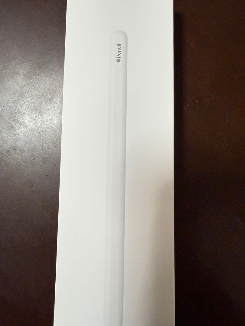 iPadアクセサリー Apple Pencil (USB-C)