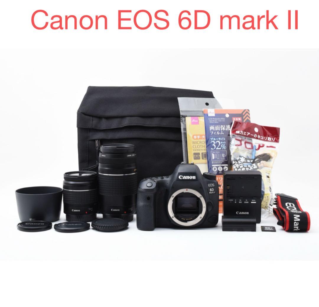 美品　一眼レフカメラCanon EOS 6D Mark II ダブルレンズセット
