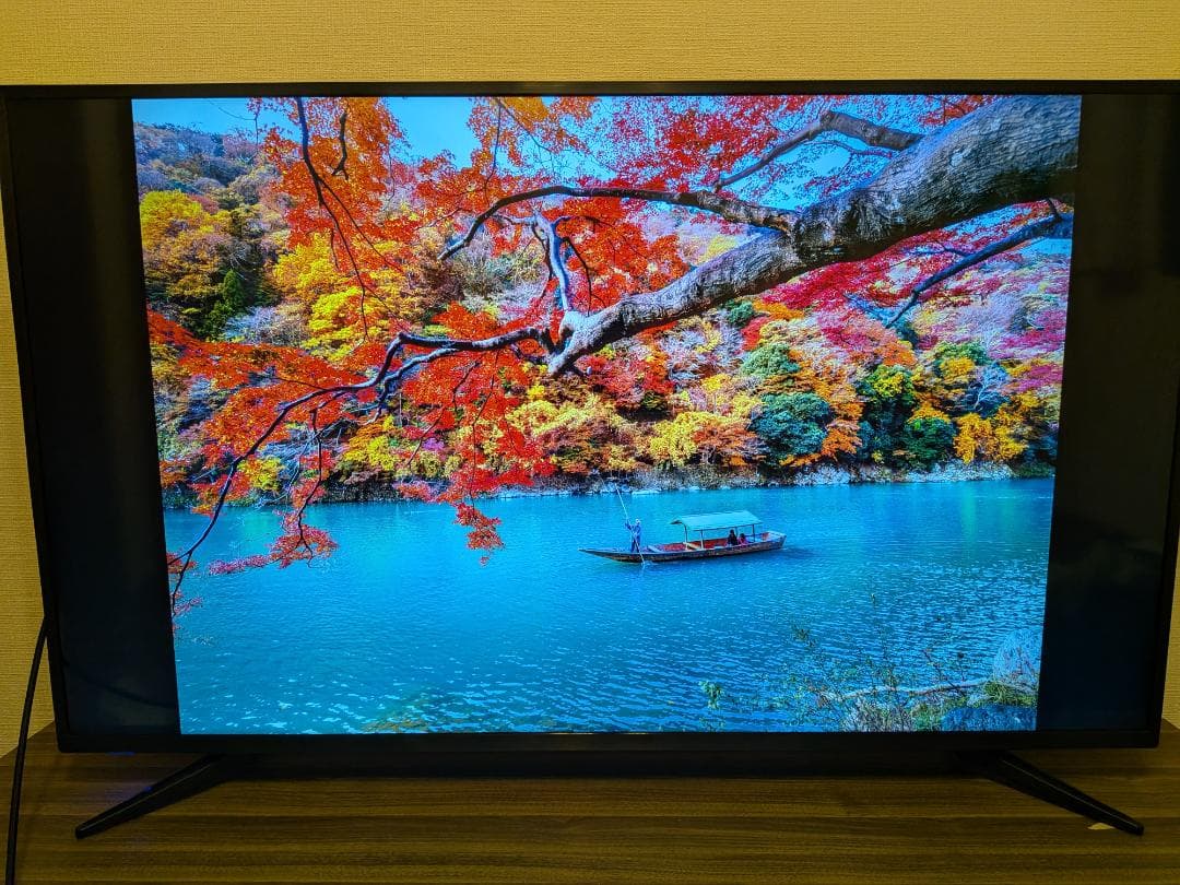 4K液晶テレビ 55インチ Wチューナー ティーズネットワーク