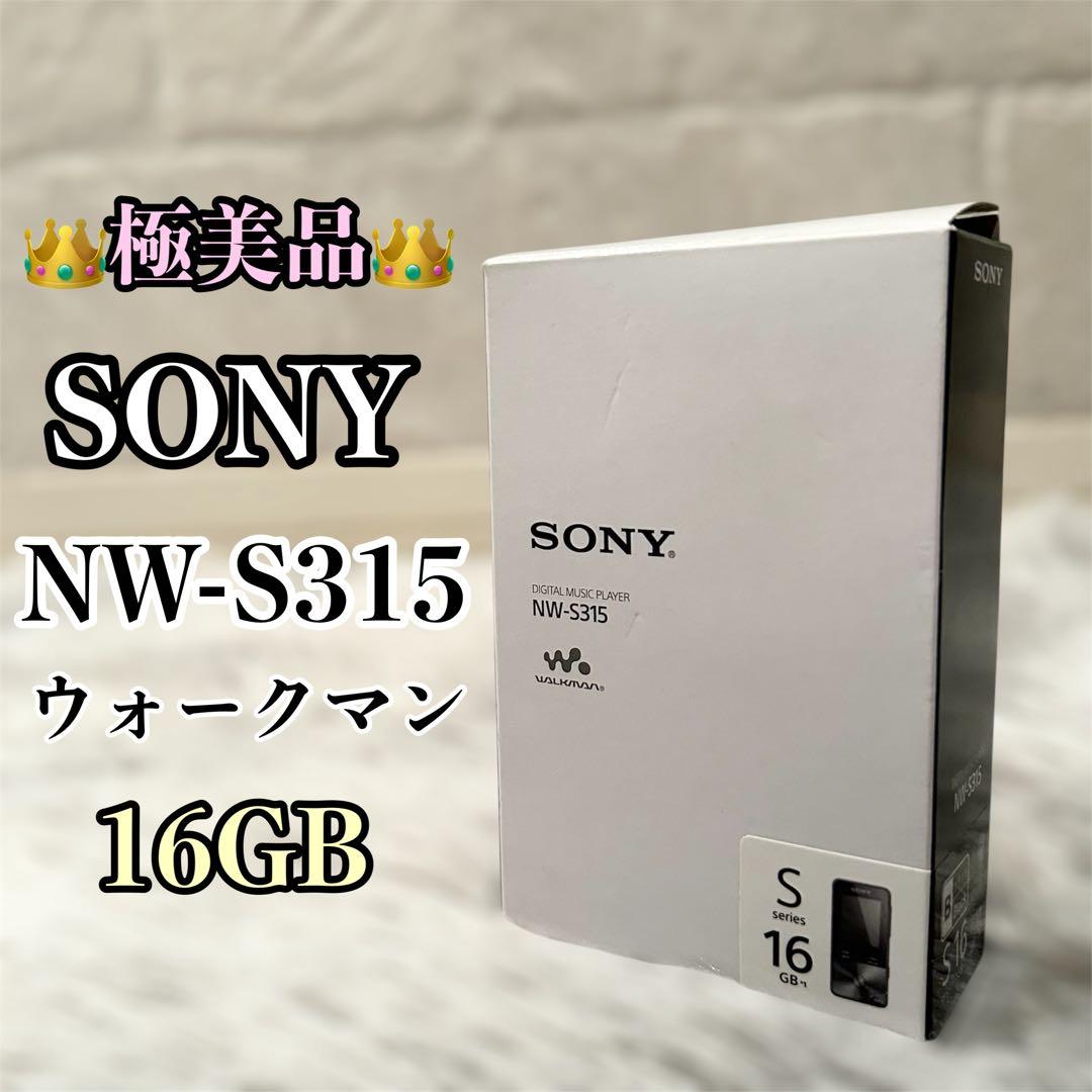 【極美品】 SONY NW-S315 WALKMAN 16GB