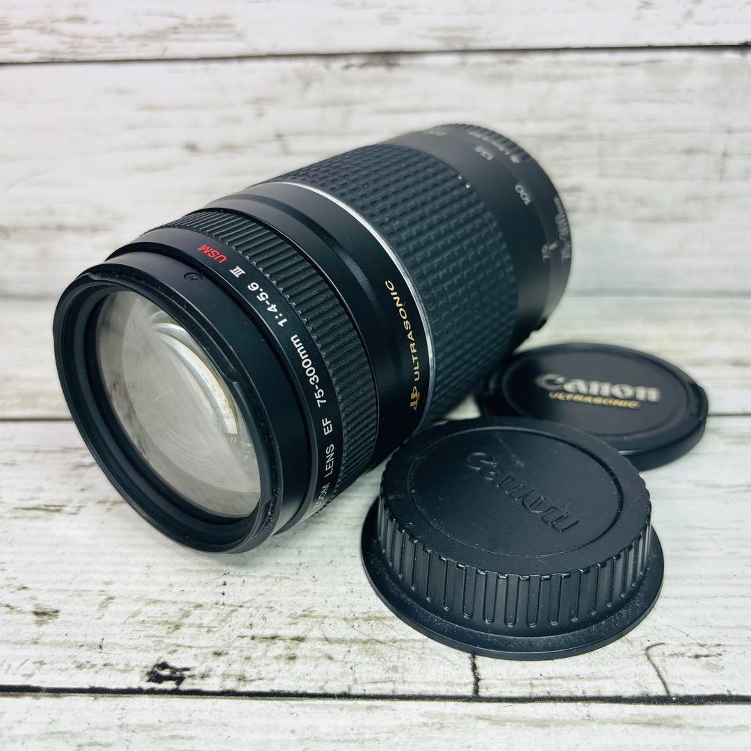 Canon ズームレンズ EF 75-300mm F4-5.6 Ⅲ USM