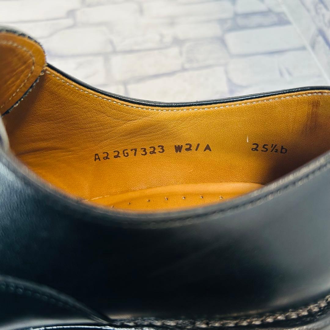 【日本製/極美品】REGAL W21A ストレートチップ 内羽根 25.5cm