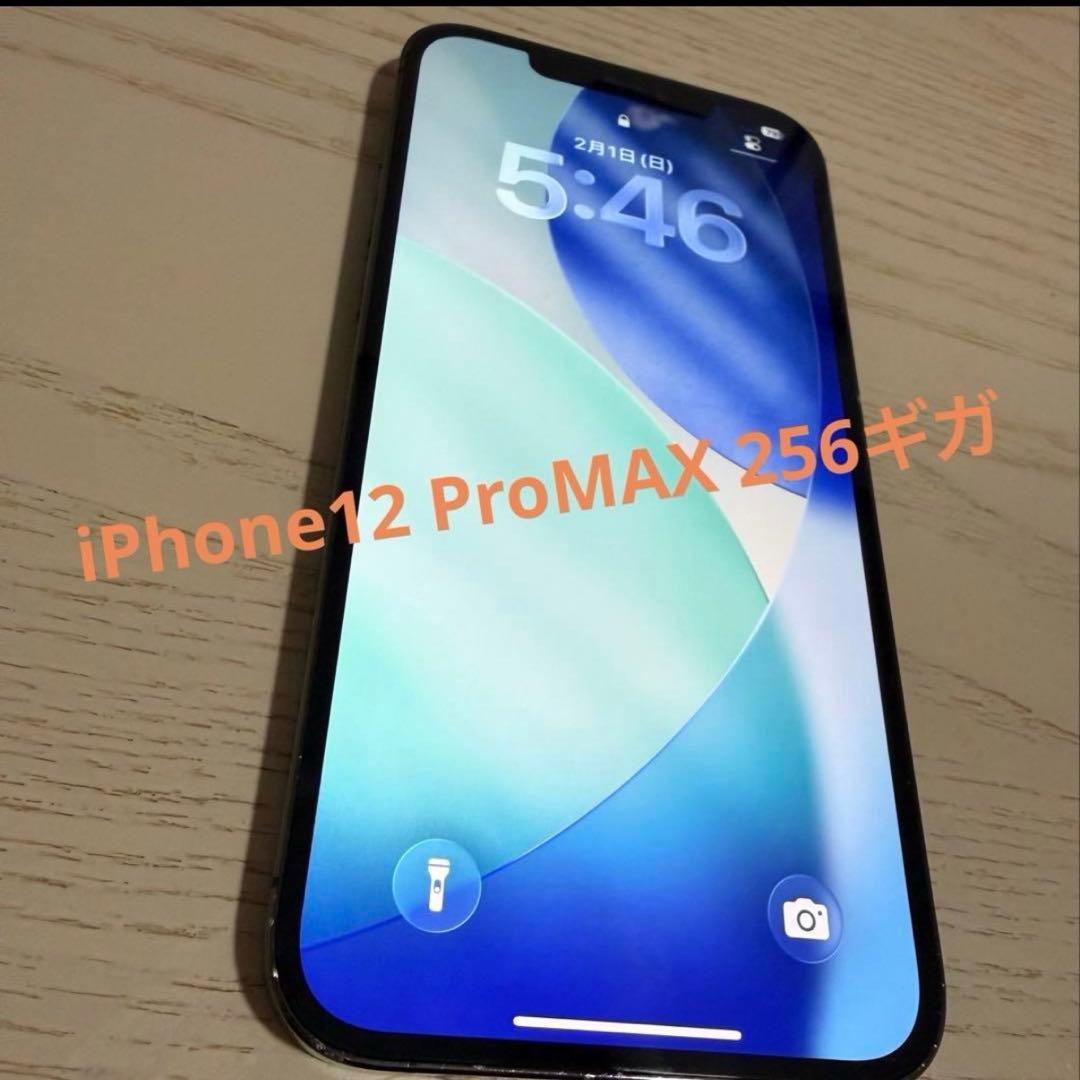 【早い者勝ち❗️】iPhone12 Pro Max 256GB❗️グラファイト❗️