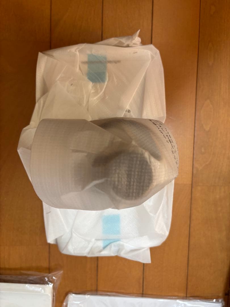 【新品未開封】バルミューダ　 C02A-WH White 掃除機