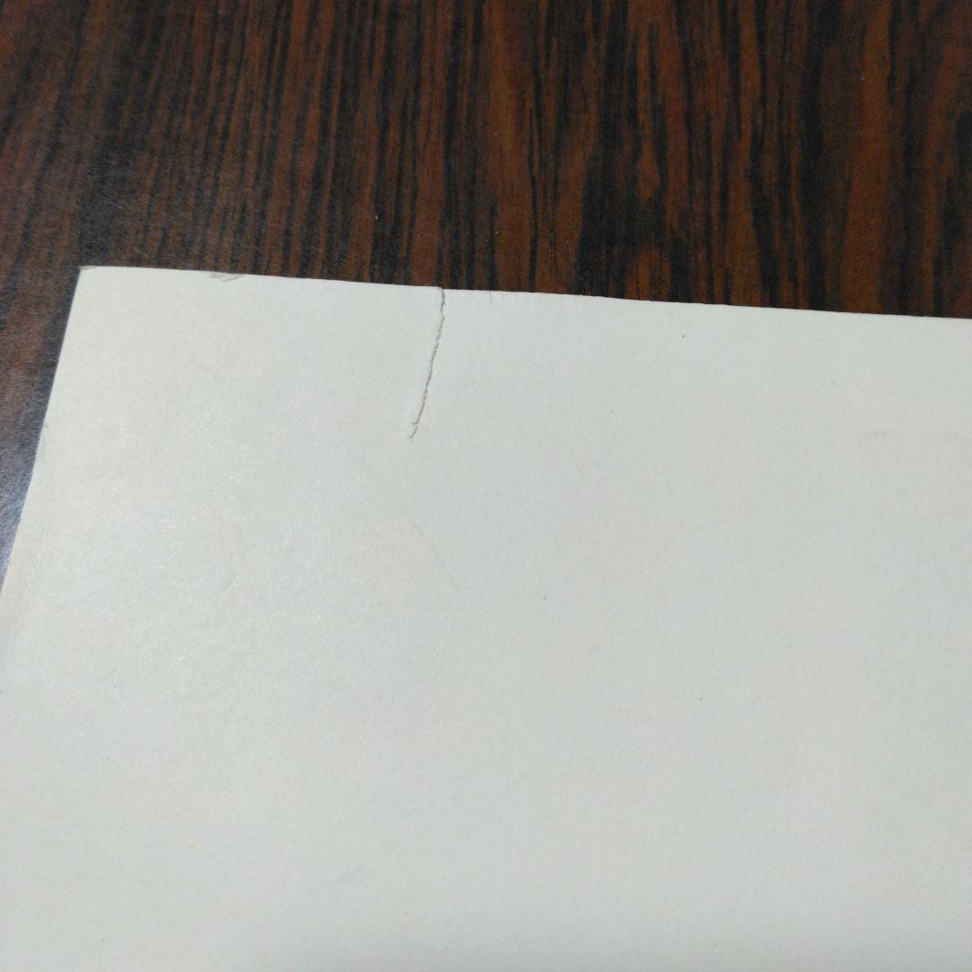 Sknet パワースタビライザー 3DWPro SK-3DWP エスケイネット