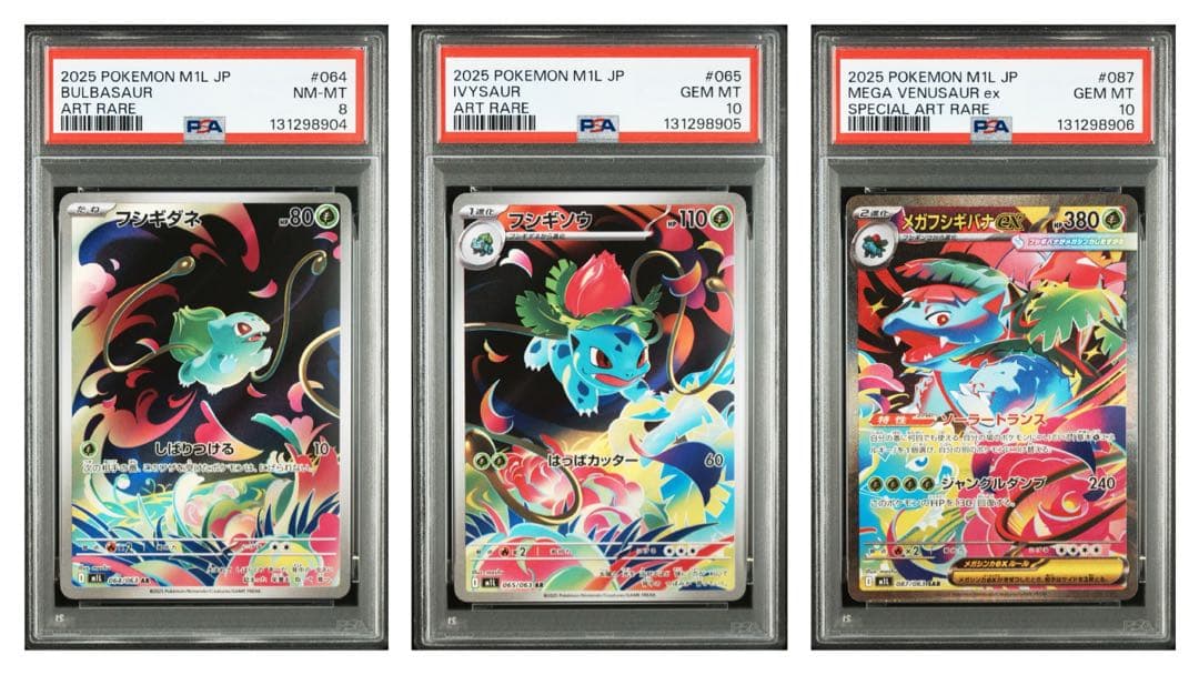 【PSA10】メガフシギバナ 進化ライン　3連番　まとめて　ポケモンカード