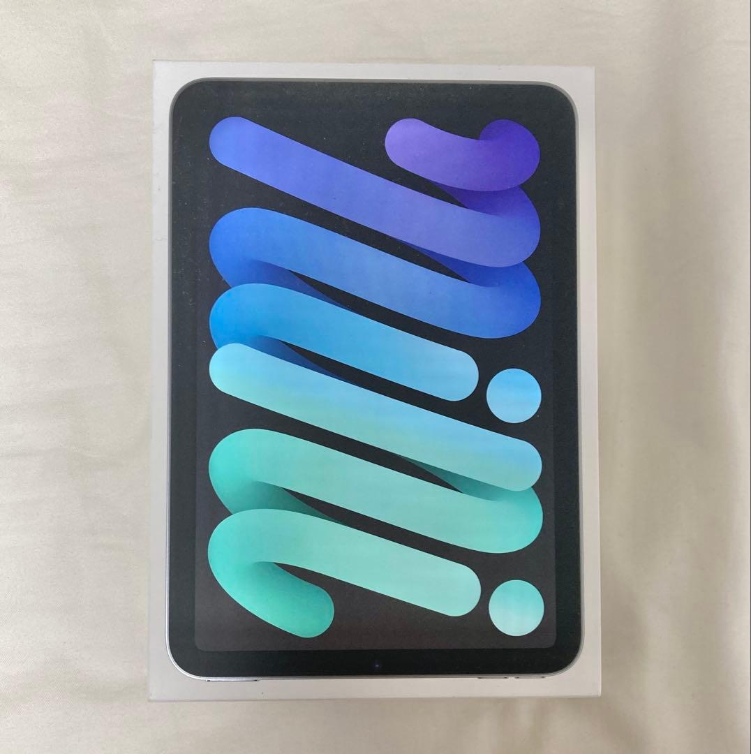 iPad mini (A17 Pro) 256GB スペースグレイ