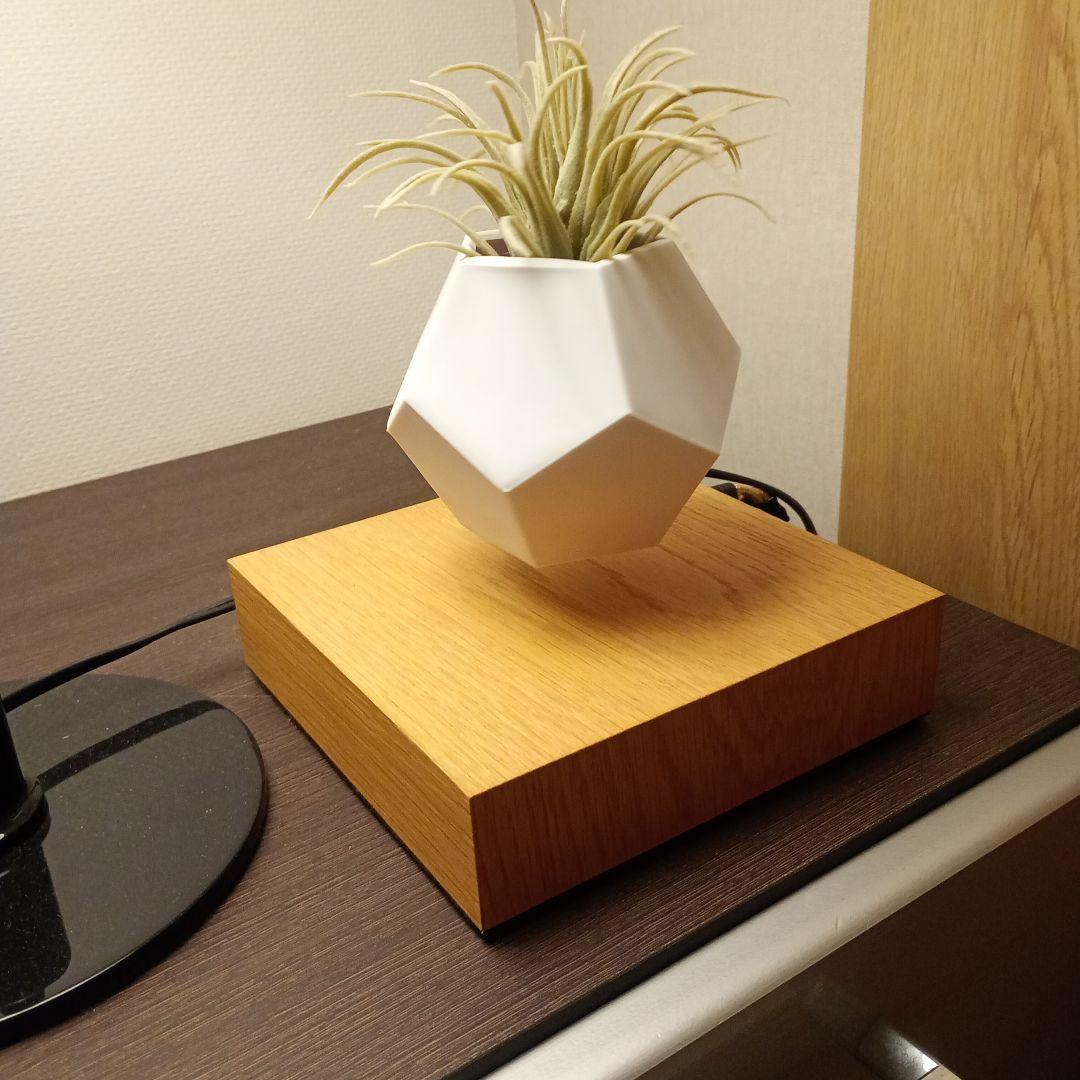 FLYTE（フライト）LYFE　ライフ　プランター