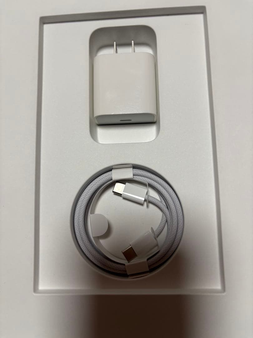 iPad 第10世代10.9インチWi-Fiモデル 64GB ピンク 即発送