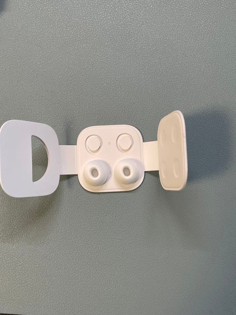 【koko様用】Apple AirPods Pro 1 本体