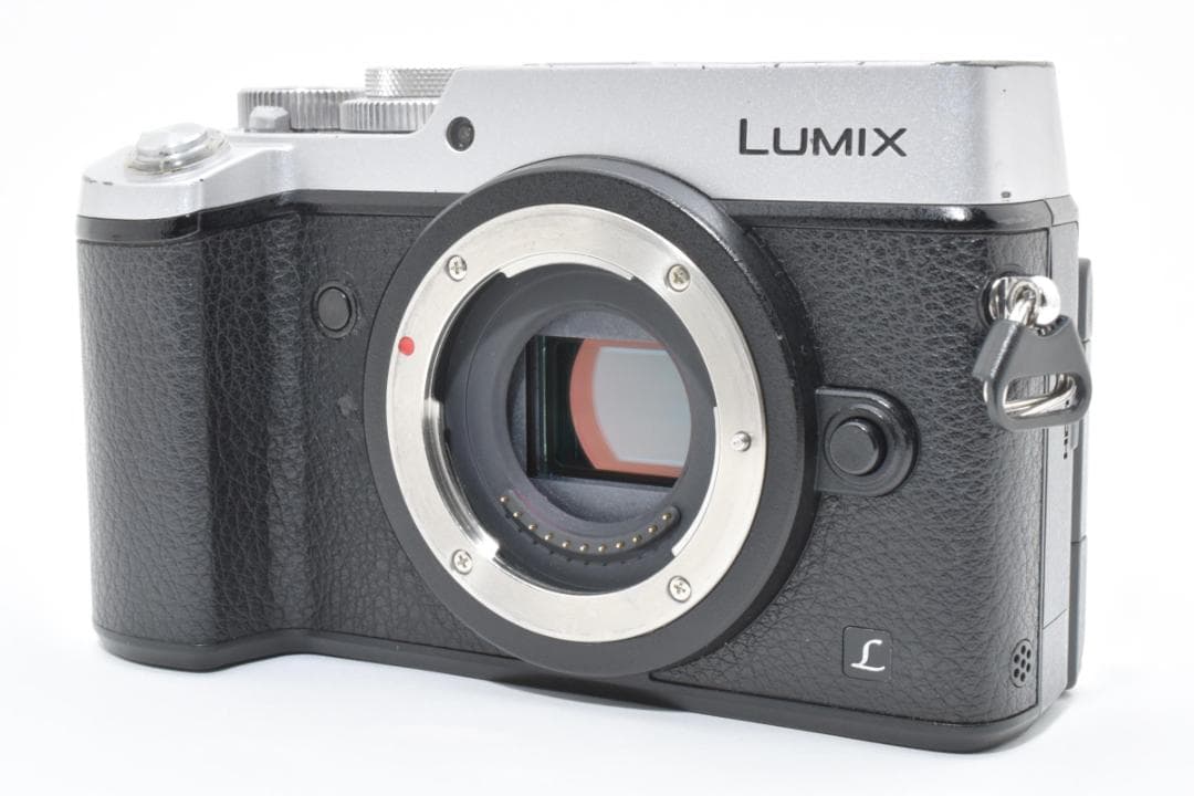 パナソニック LUMIX DMC-GX8 ボディ