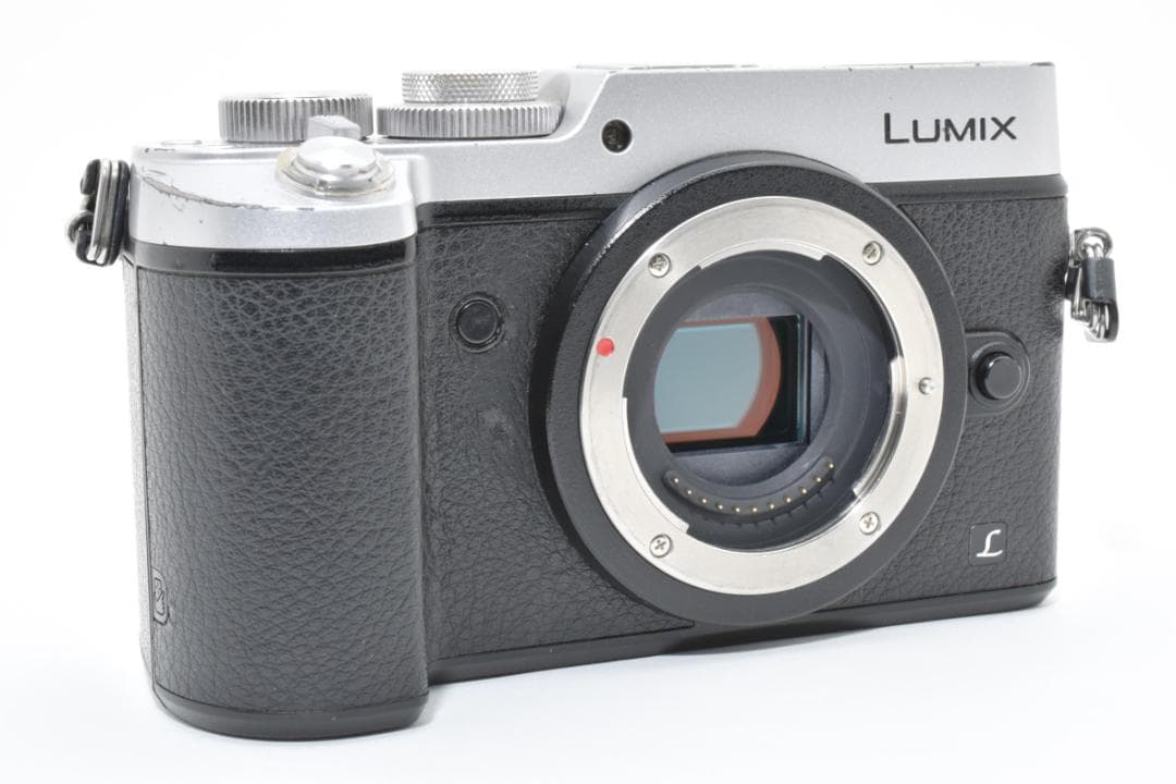 パナソニック LUMIX DMC-GX8 ボディ