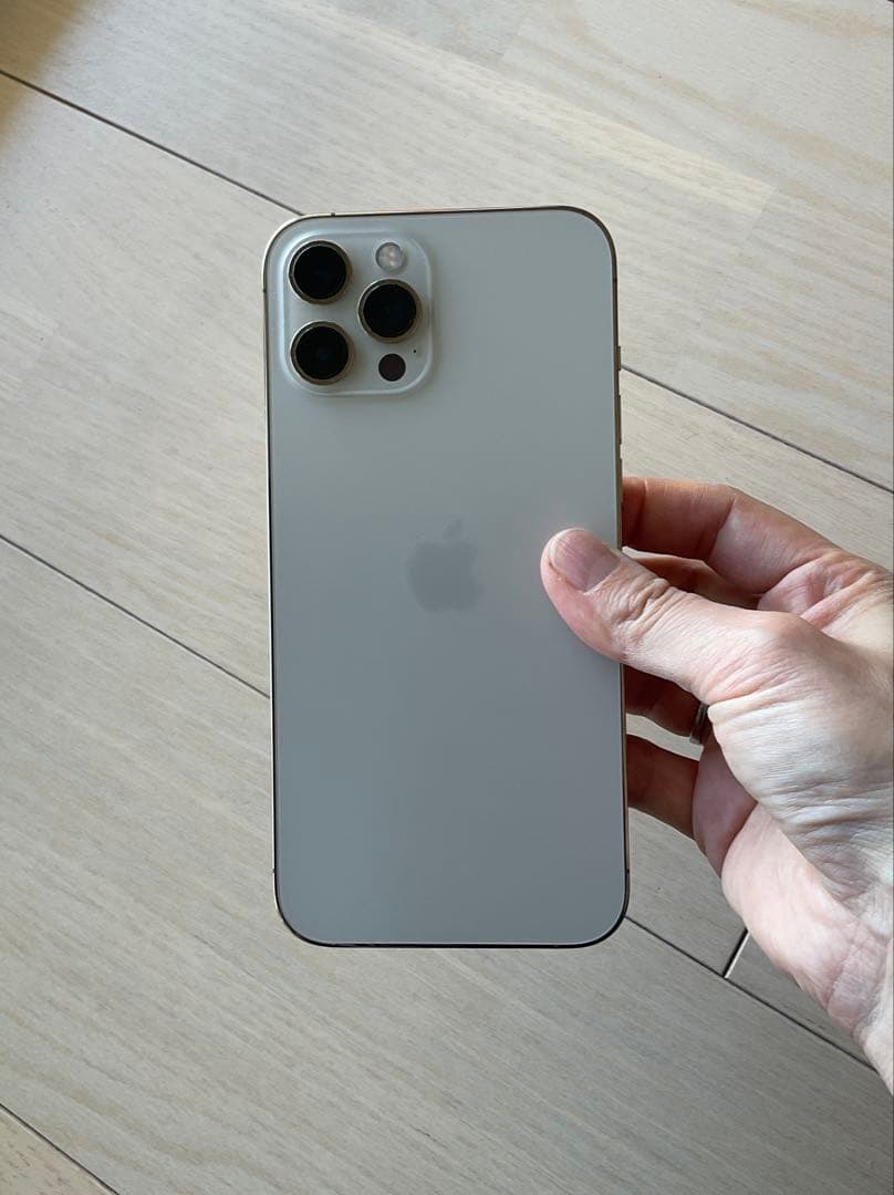 Apple iPhone 12 Pro Max イヤホンおまけ付き