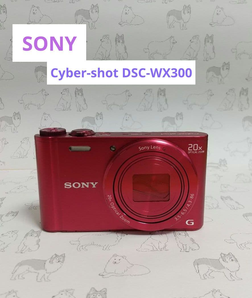 【RS76】SONY Cyber-shot DSC-wx300 デジカメ 本体