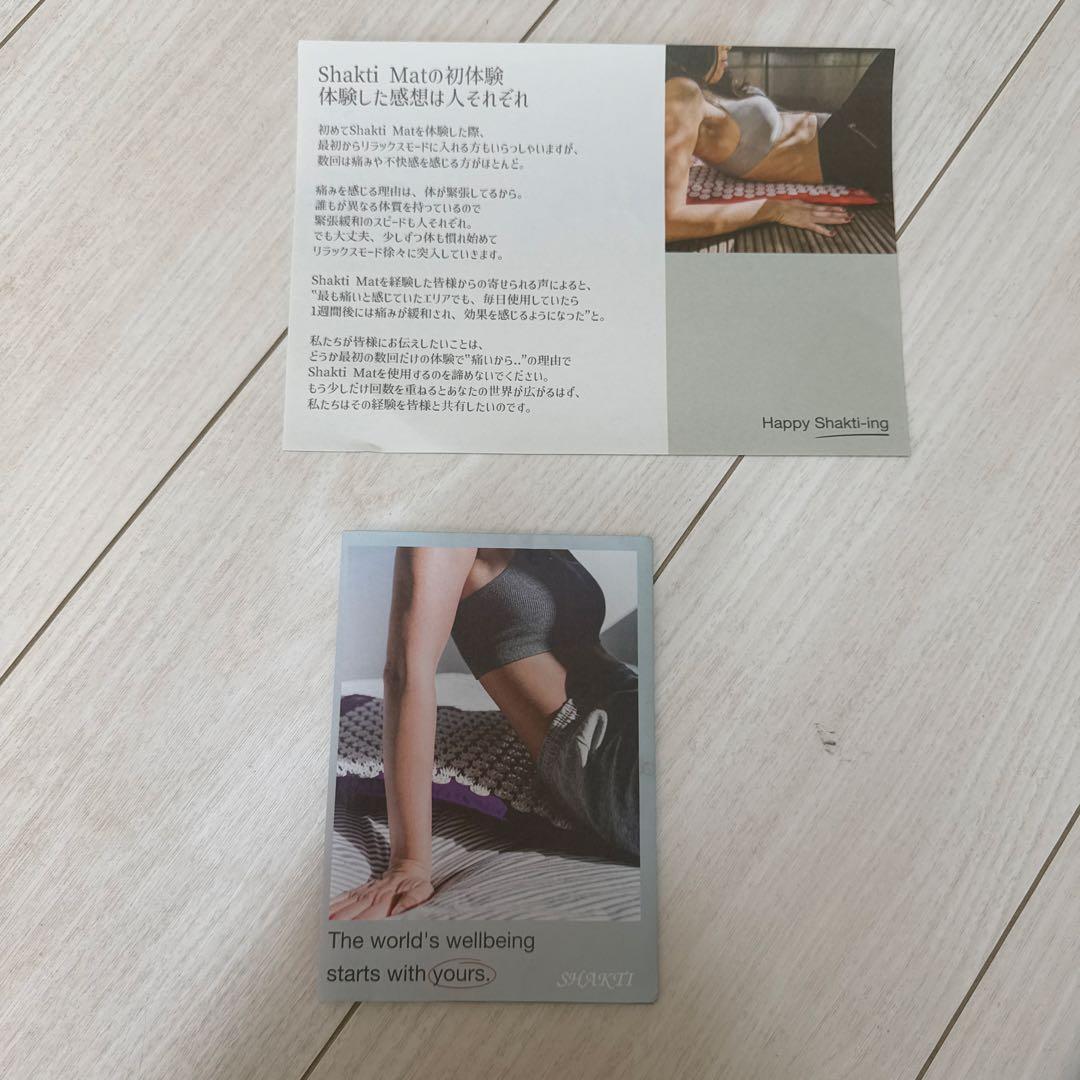 SHAKTI シャクティ　マット&ピロー　正規品　インディゴ　レベル3