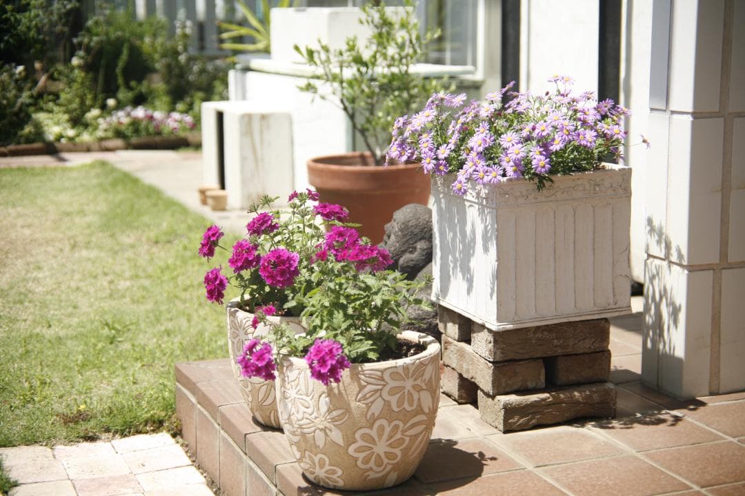 CANON 旧 FD 50mm f1.4 S.S.C.　 L93