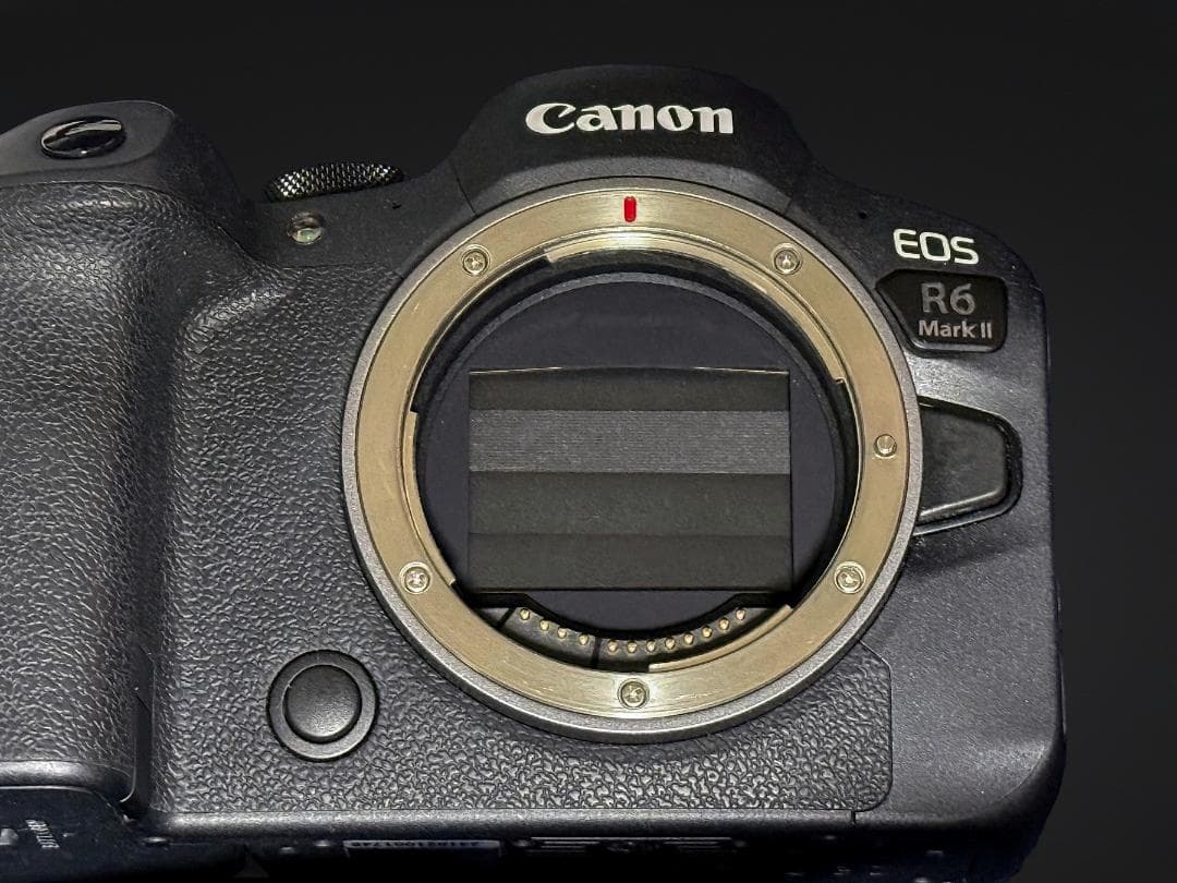 Canon EOS R6 mark2 ミラーレス一眼
