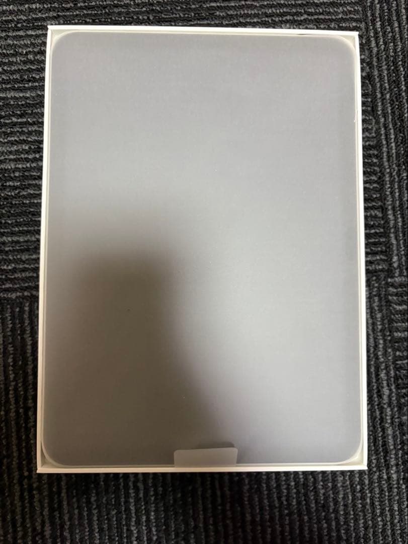 Apple iPad A16 (第11世代) シルバー 本体