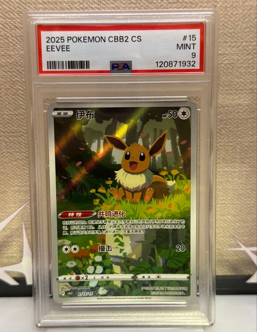 PSA9 イーブイ 中国語　CBB2C-01 15/15