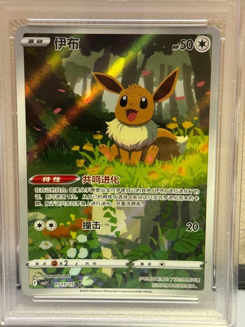 PSA9 イーブイ 中国語　CBB2C-01 15/15