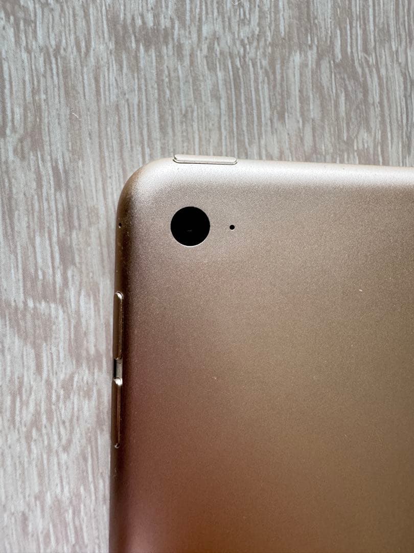 iPad本体 Apple iPad Air 2 64GB