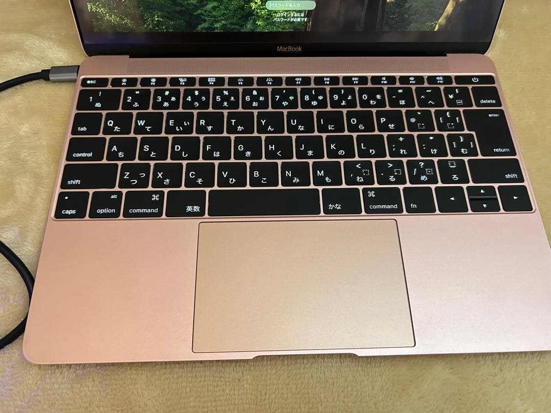訳あり MacBook 12㌅ 2016 ローズゴールド 8GB 外付SSD起動