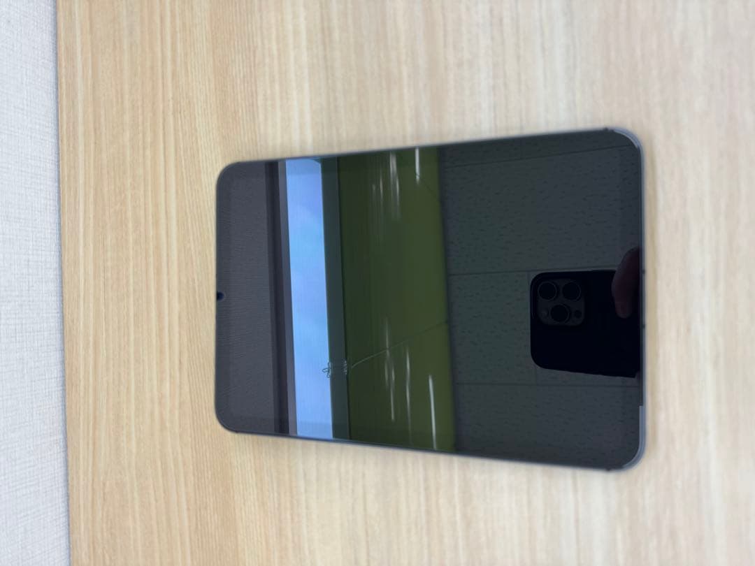 iPad mini6 Wi-Fi+Cellular 256スペースグレイ