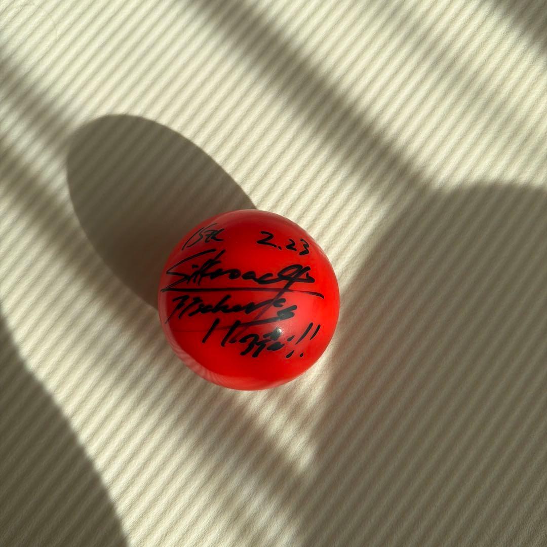 フィッシャーズシルクロードサインボール