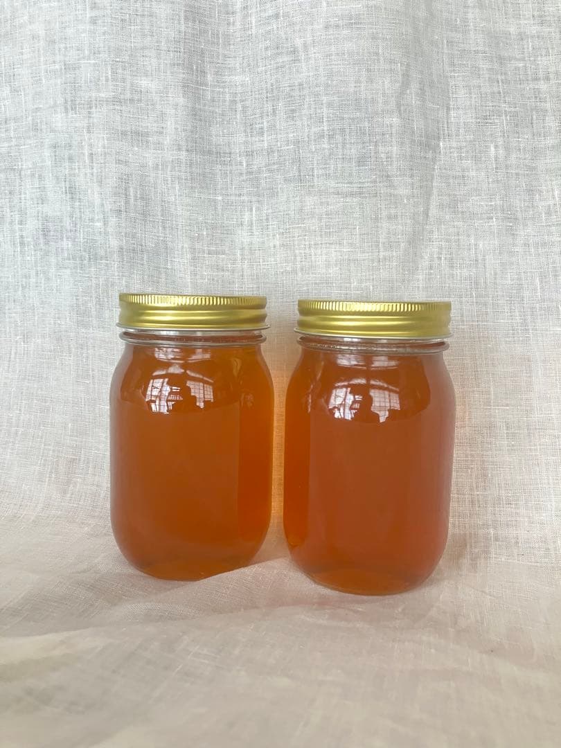 蜂蜜1.16kg垂蜜(ニホンミツバチ)無添加