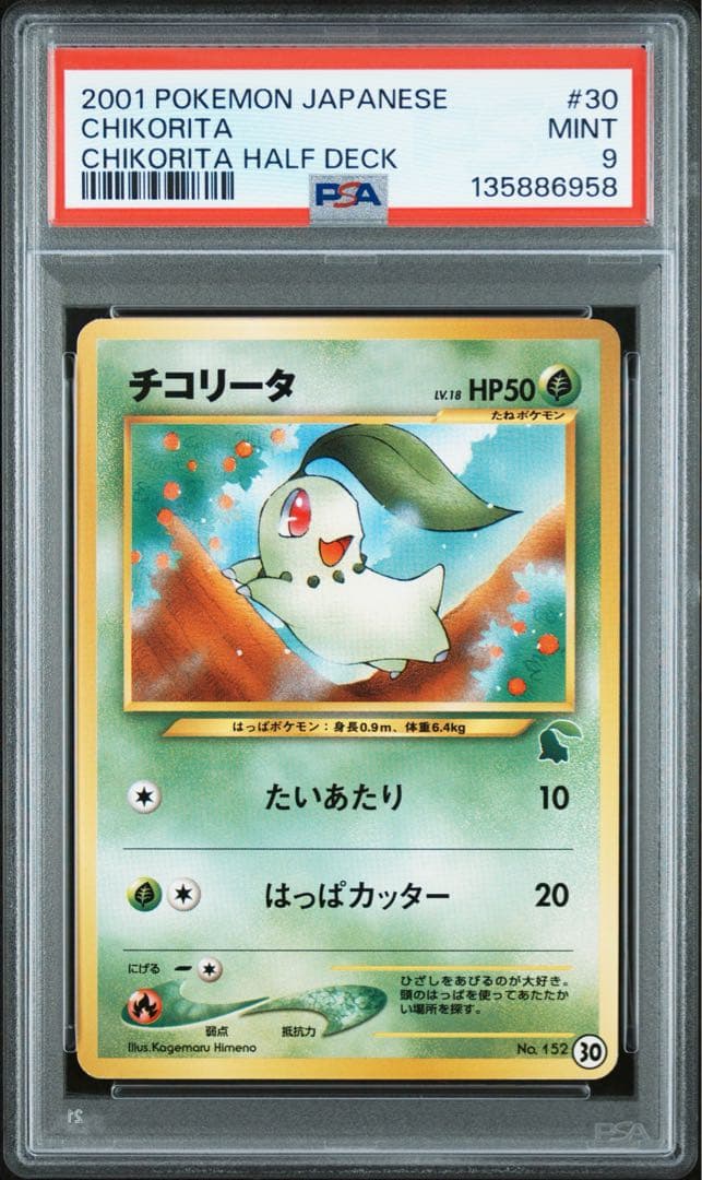 チコリータ 2001年 日本語版 旧裏