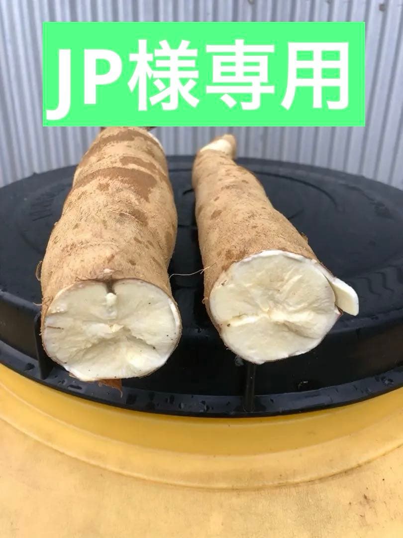 徳之島産キャッサバ薄黄色生芋20キロ入り