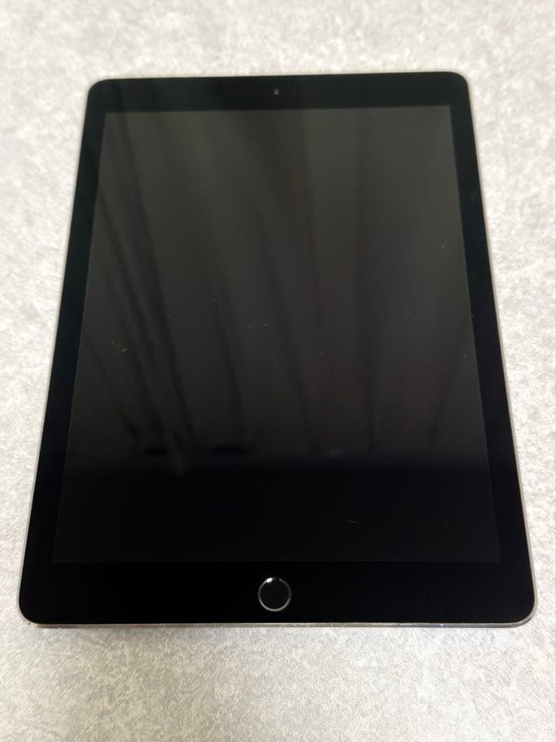 iPad Pro 9.7インチ 256GB (第1世代) セルラーモデル