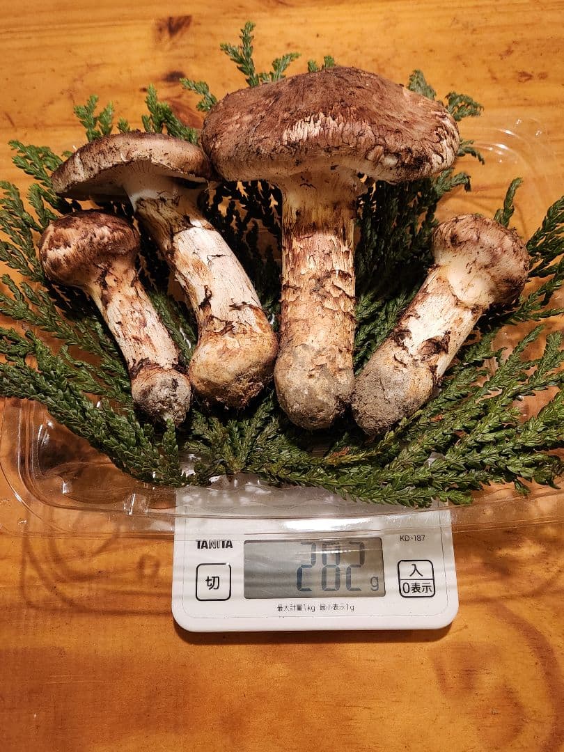 北海道産松茸　282g