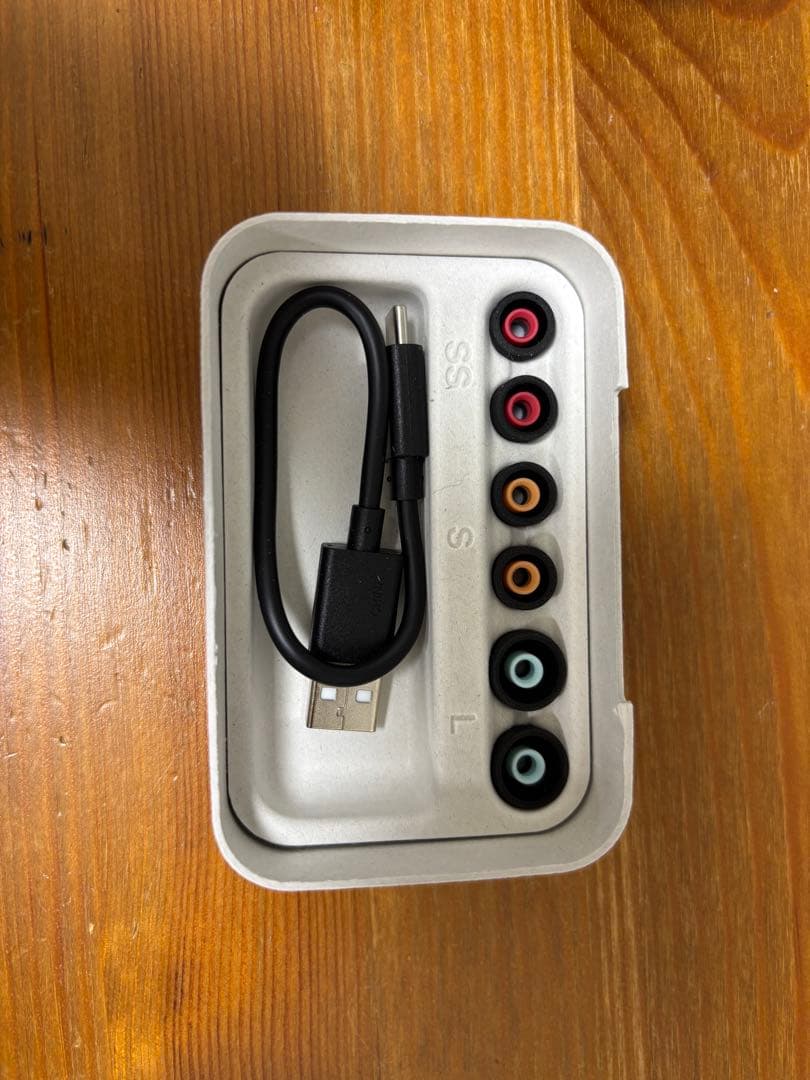 SONY WF-1000XM5 ワイヤレスイヤホン　2026年1月19日購入品