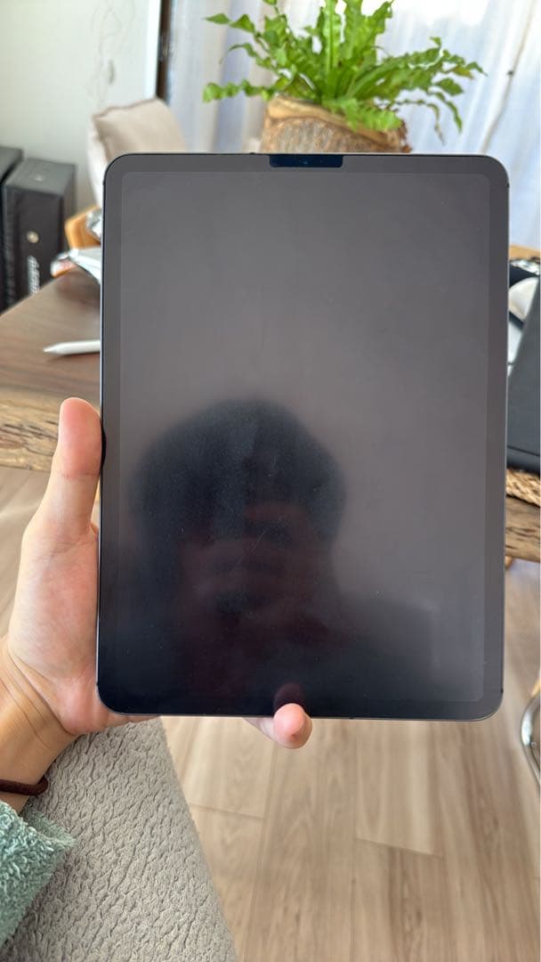 Apple iPad Pro 11インチ (第1世代) 本体セット