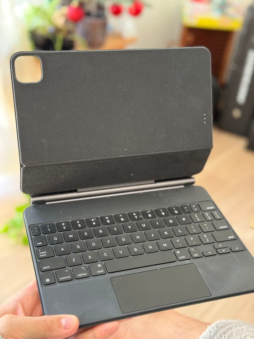 Apple iPad Pro 11インチ (第1世代) 本体セット