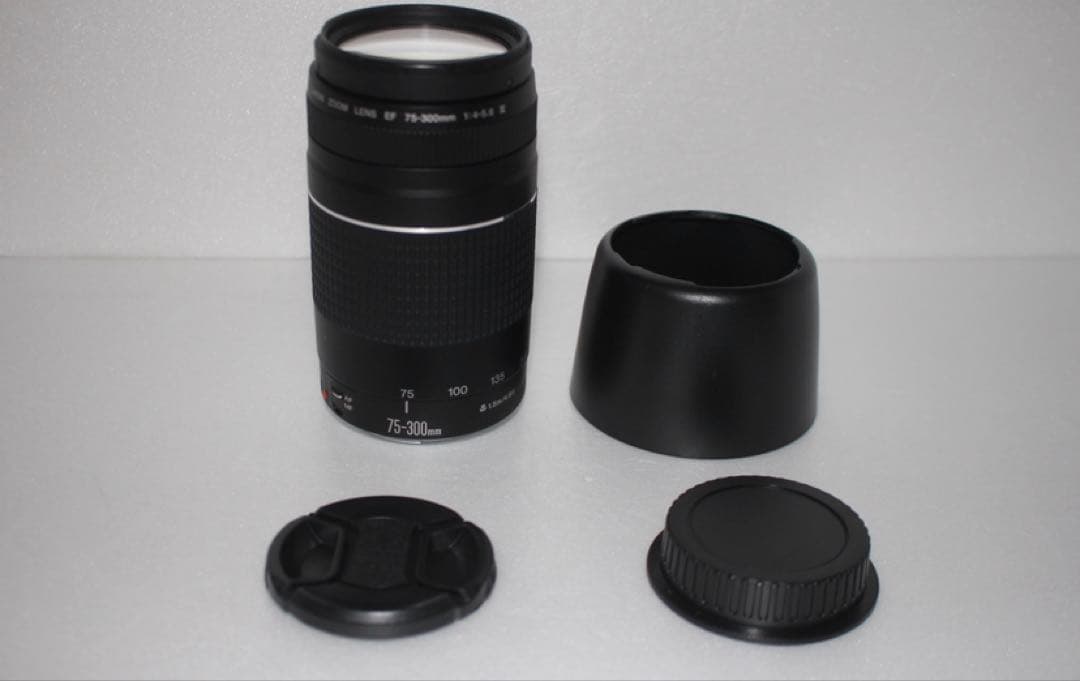 スポーツ/イベント等/望遠レンズ/Canon EF75-300㎜1:4-5.6Ⅲ