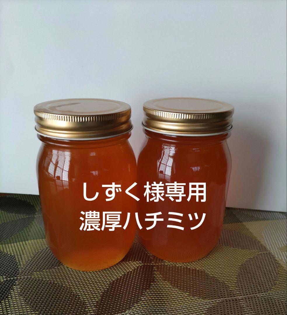 日本ミツバチ濃厚蜂蜜（秋蜜、600g✕2）