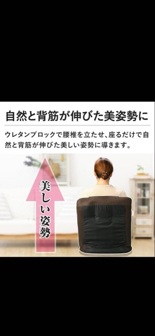 【極美品】ミズノ 腹筋座椅子 じつは!ゆれる腹筋くん エクササイズ　ブラウン