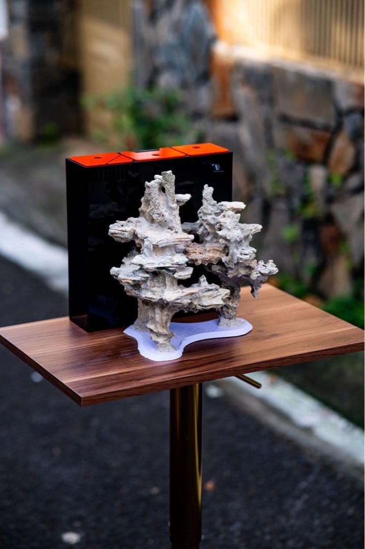 人工ライブロックセット（海水魚、サンゴ、背景、レイアウト、水槽)