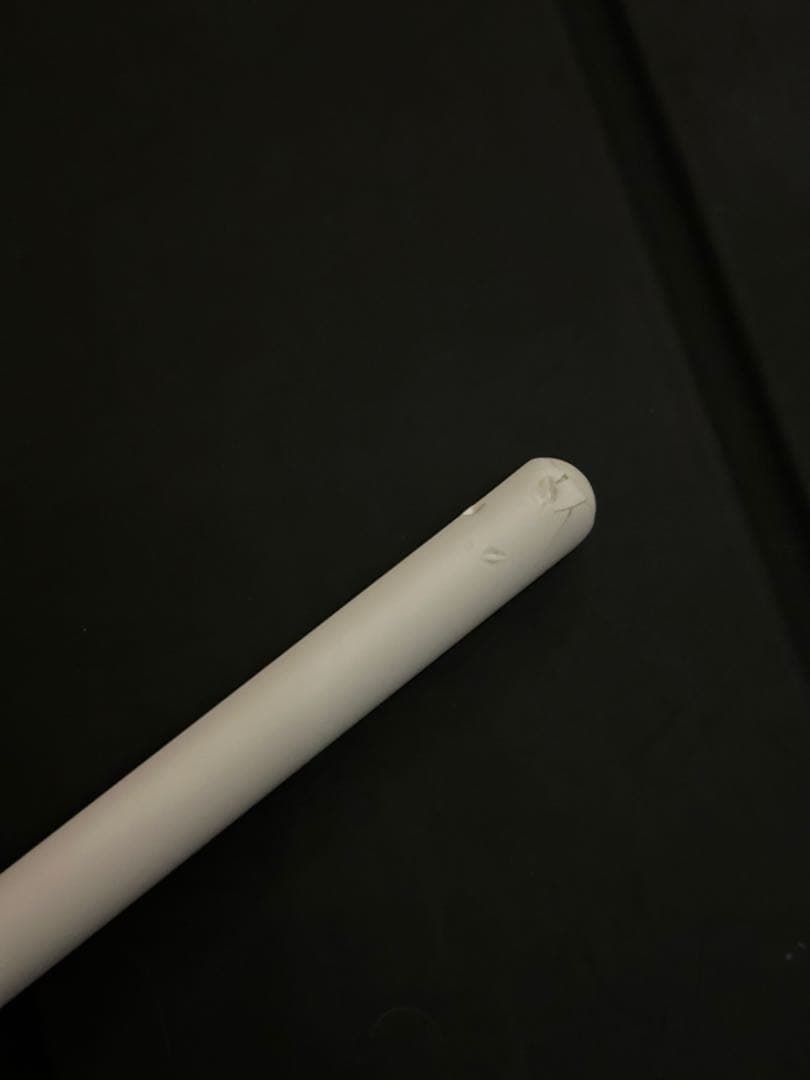 iPad Pro 12.9 1TB SIMフリー　スペースグレイ　第5世代