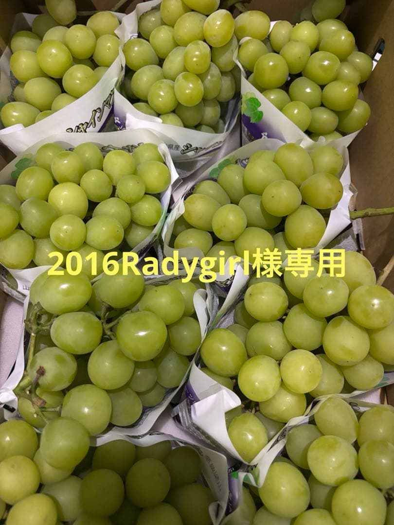 2016Radygirl クール便山梨県産シャインマスカット5k✖︎２ケース